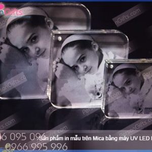 In quà tặng doanh nghiệp Kỷ Niệm Chương, Biểu trưng CB001