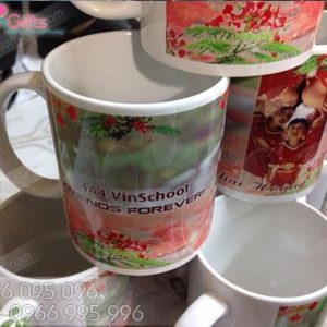 In ảnh lên cốc lớp 4a4, 1a29 vinshool 2016