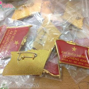 In huy hiệu đại biểu hội đồng nhân dân